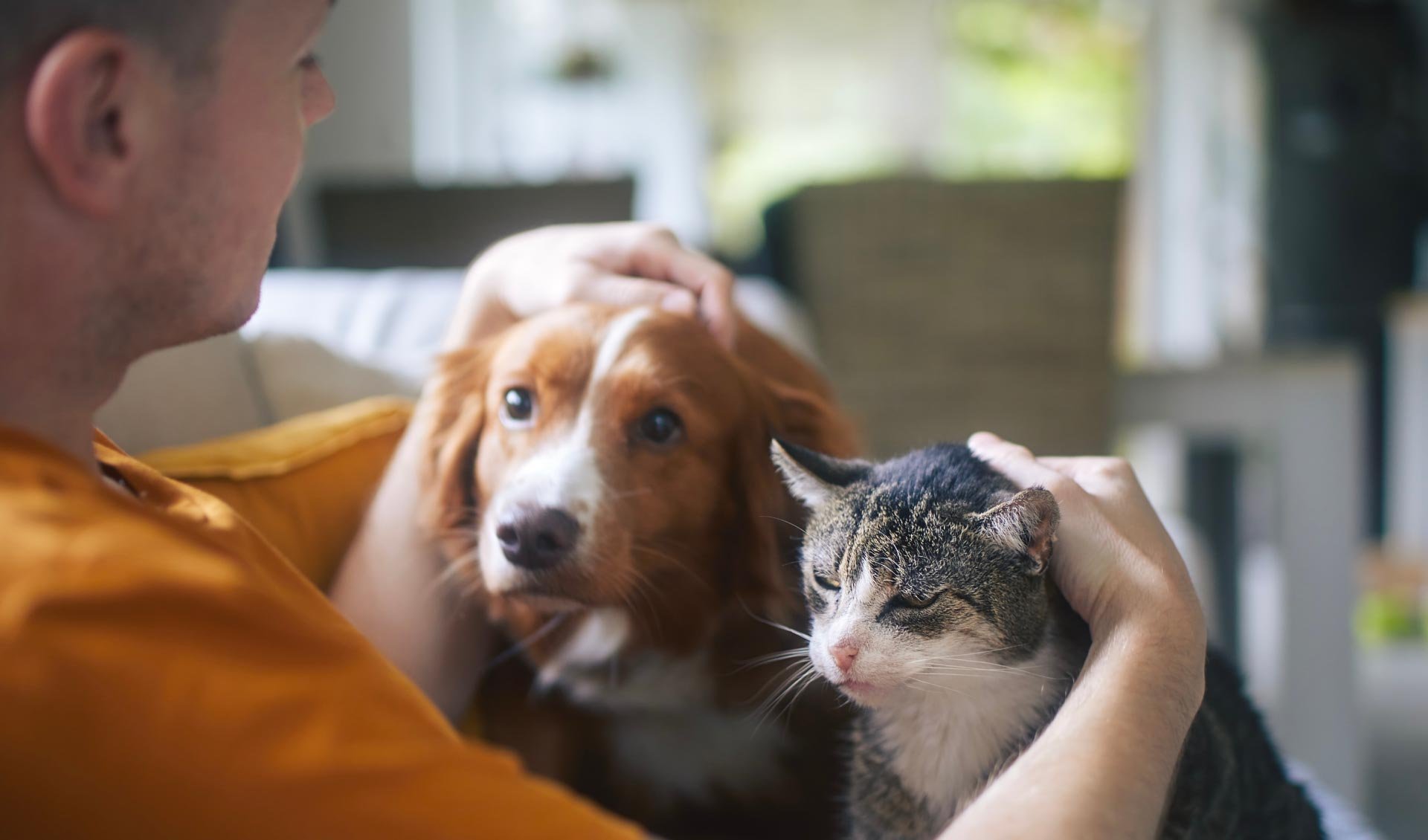 AprilVets-Blogposts-IMGS_Mesa de trabajo 1 copia 11