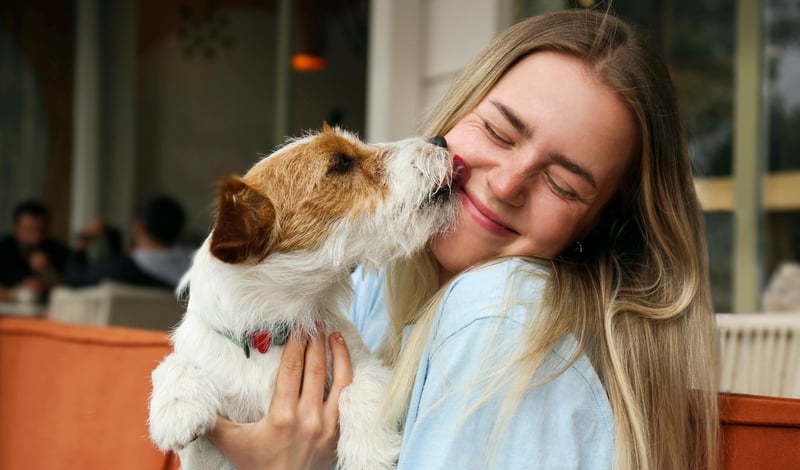 AprilVets-Blogposts-IMGS_Mesa de trabajo 1 copia 5