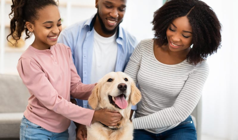 AprilVets-Blogposts-IMGS_Mesa de trabajo 1 copia